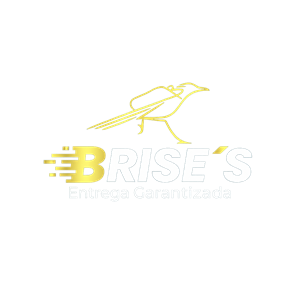 Brise's Entrega Garantizada